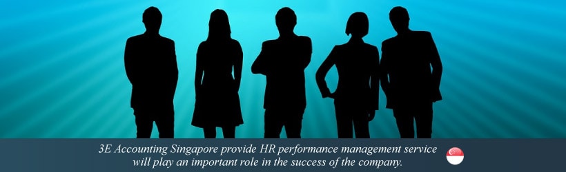 HR Performance Management Services