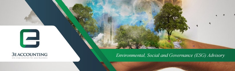 Environmental, Social and Governance (ESG) Advisory