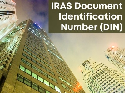 IRAS Document Identification Number (DIN)