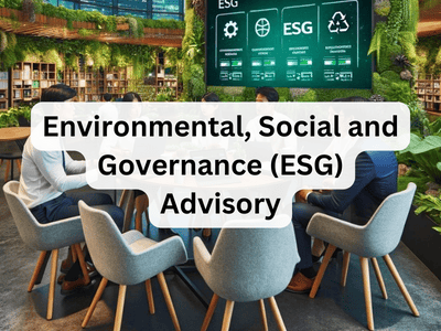 Environmental, Social and Governance (ESG) Advisory