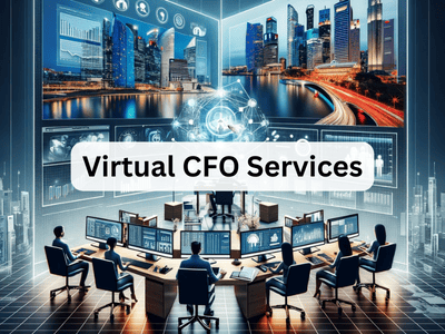 Virtual CFO Services