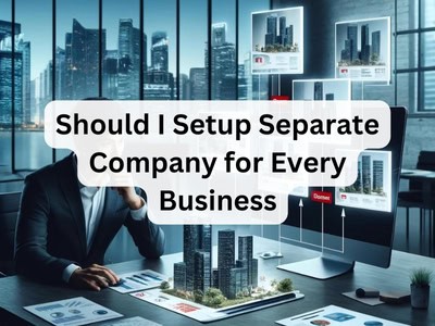 Should I Setup Separate Company for Every Business?