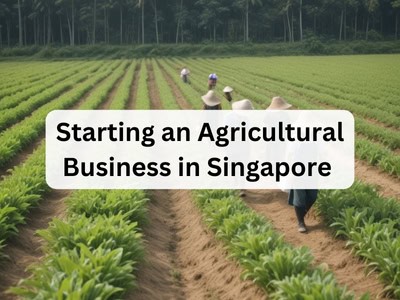 Starting an Agricultural Business in Singapore