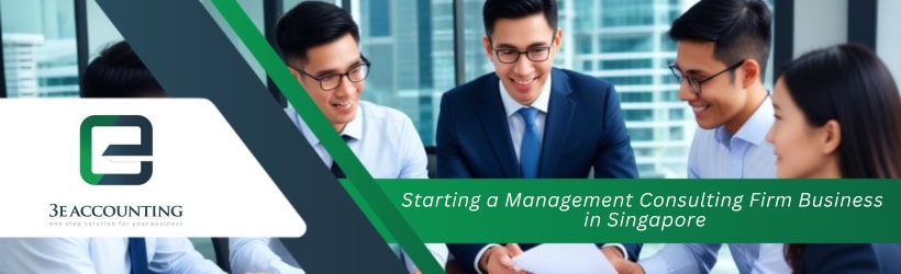 Starting a Management Consulting Firm Business in Singapore