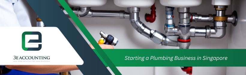 Starting a Plumbing Business in Singapore