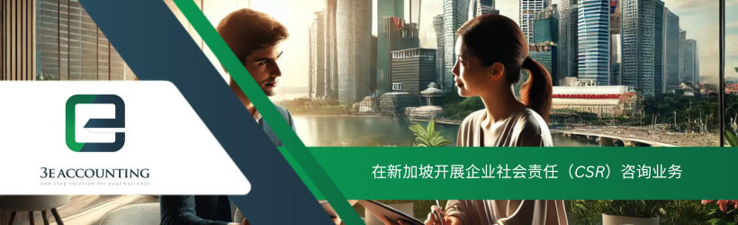 在新加坡开展企业社会责任（CSR）咨询业务