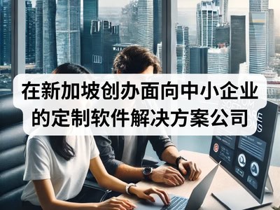 在新加坡创办面向中小企业的定制软件解决方案公司