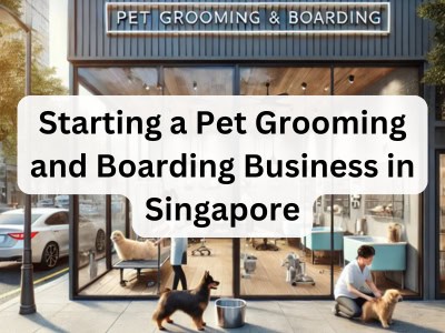 Starting a Pet Grooming and Boarding Business in Singapore