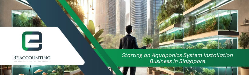 Starting an Aquaponics System Installation Business in Singapore