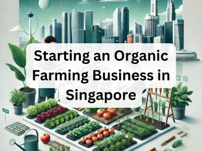 Starting an Organic Farming Business in Singapore